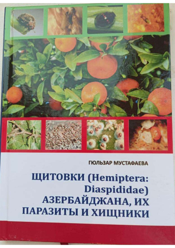  ЩИТОВКИ ( Hemiptera: Diaspididae) АЗЕРБАЙДЖАНА, ИХ ПАРАЗИТЫ И ХИЩНИКИ